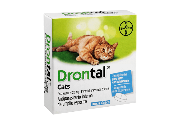 Drontal cat 4 kg x 2 comp.