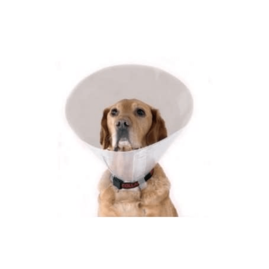 Collar isabelino perro/gato 12,5 cm