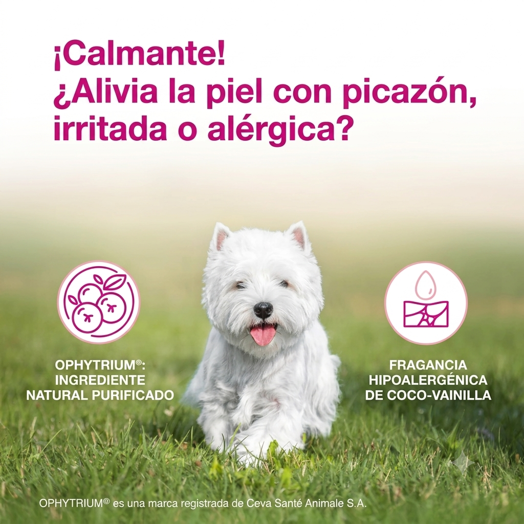 Infografía en español de DOUXO S3 CALM con un perro West Highland White Terrier en el centro. El texto destaca propiedades calmantes para aliviar la piel irritada, alérgica o con picazón. Incluye iconos que detallan el ingrediente natural purificado Ophytrium y su fragancia hipoalergénica de coco-vainilla.