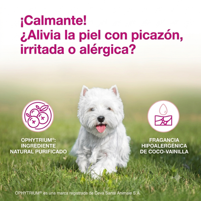 Infografía en español de DOUXO S3 CALM con un perro West Highland White Terrier en el centro. El texto destaca propiedades calmantes para aliviar la piel irritada, alérgica o con picazón. Incluye iconos que detallan el ingrediente natural purificado Ophytrium y su fragancia hipoalergénica de coco-vainilla.