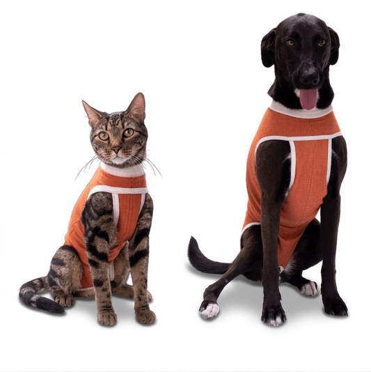 Body Cobre perro/gato de 4,5 a 6 kg talla 3