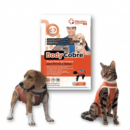Body de Cobre Talla 0 Perros y Gatos (1,5 a 2,15 kg) – Protección postoperatoria segura en MasKotas Farmavet - Especialistas en Dermatología
