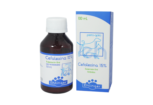 Cefalexina 15% susp. oral x 100 ml. VENCEN NOVIEMBRE