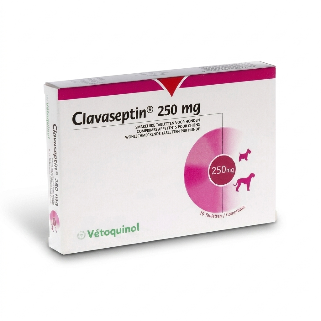 Clavaseptin 250 mg Perros y Gatos – Antibiótico de amplio espectro - Antibioticos veterinaria Vetoquinol en MasKotas Farmavet
