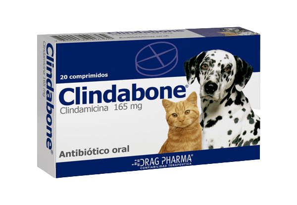 Clindabone