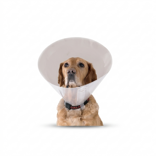 Collar Isabelino 12,5 cm Perros y Gatos – Evita lamido y protege heridas en MasKotas Farmavet - Especialistas en Dermatología
