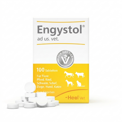 Engystol Vet 100 Comprimidos – Inmunoestimulante y antiviral mascotas - Vitaminas y Suplementos veterinaria en MasKotas Farmavet