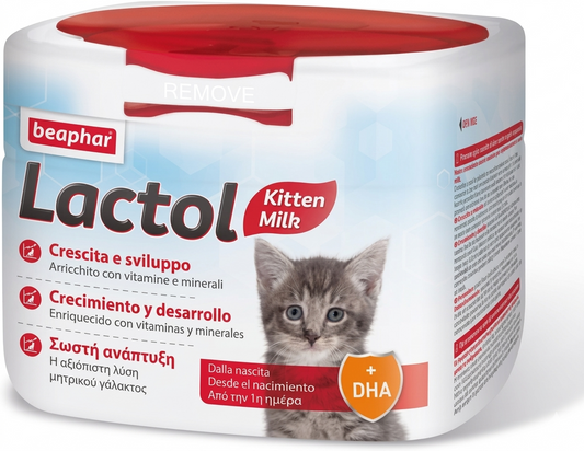 Lactol Gatitos 500 g - Sustituto Leche Materna con DHA