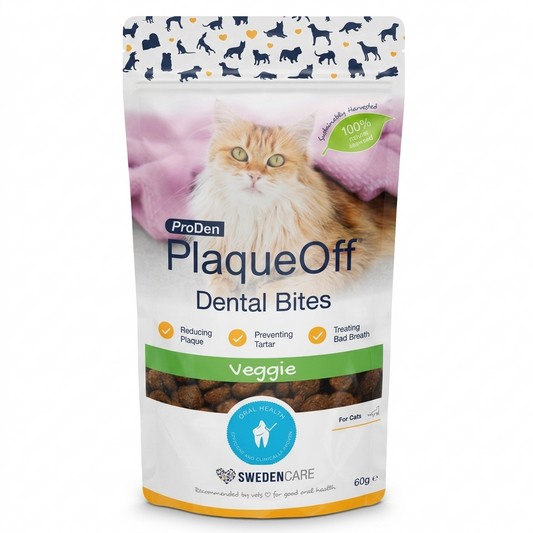 Imagen de estudio de una bolsa de ProDen PlaqueOff Dental Bites Veggie para gatos, destacando la foto del gato, el sabor vegetal y los beneficios para la salud dental (reducción de placa, prevención de sarro, tratamiento del mal aliento).