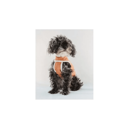 Body Cobre perro/gato 0 a 1,5 kg talla 00