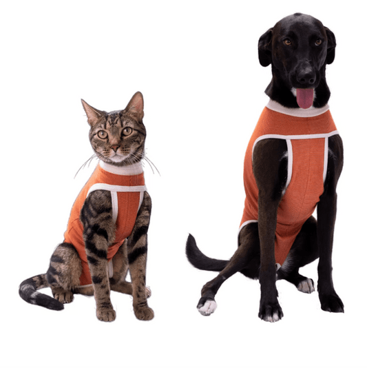 Body Cobre perro/ gato de 4,5 a 6 kg talla 3