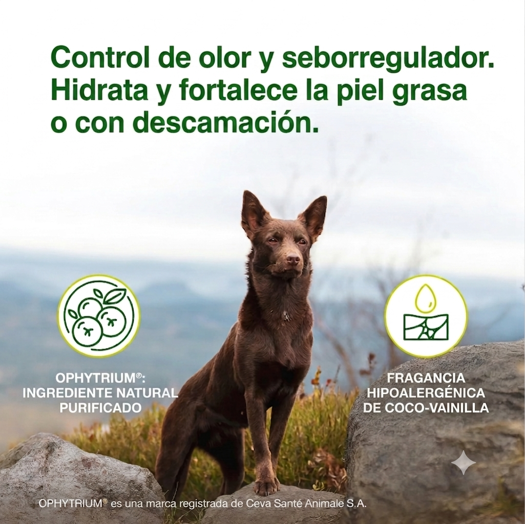 Afiche publicitario de Douxo S3 SEB en español: 'Control de olor y seborregulador. Hidrata y fortalece la piel grasa o con descamación'. Muestra un perro marrón sobre rocas e iconos con los textos 'OPHYTRIUM®: INGREDIENTE NATURAL PURIFICADO' y 'FRAGANCIA HIPOALERGÉNICA DE COCO-VAINILLA'
