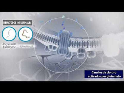 Revolution plus pipeta gato 5 - 10 kg x 1 unid.