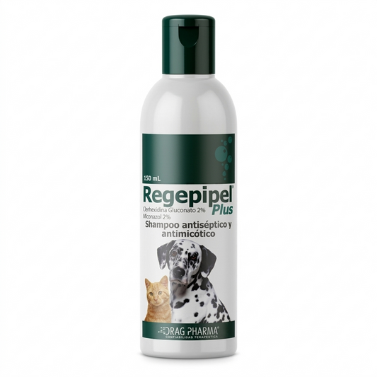 Regepipel Plus shampoo perros y gatos – dermatitis y regeneración cutánea - Dermatológicos veterinaria en MasKotas Farmavet
