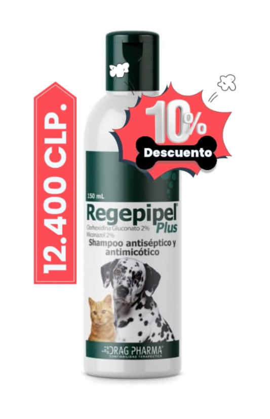 Shampo Regepipel plus