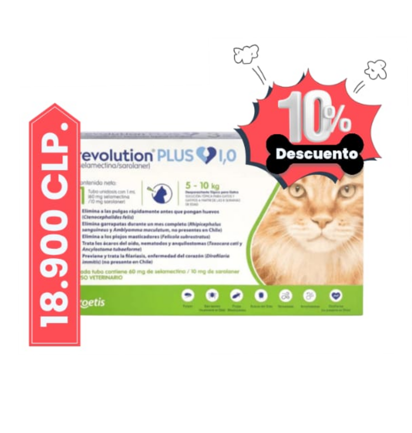 Revolution plus pipeta gato 5 - 10 kg x 1 unid.