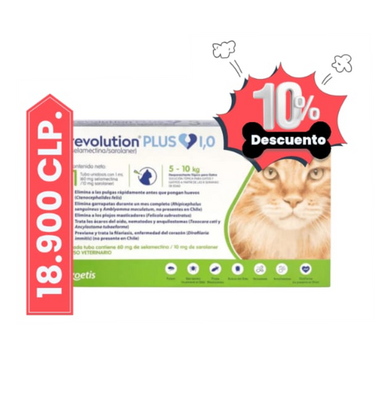 Revolution plus pipeta gato 5 - 10 kg x 1 unid.