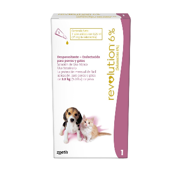Revolution cachorro 6% perro / gato